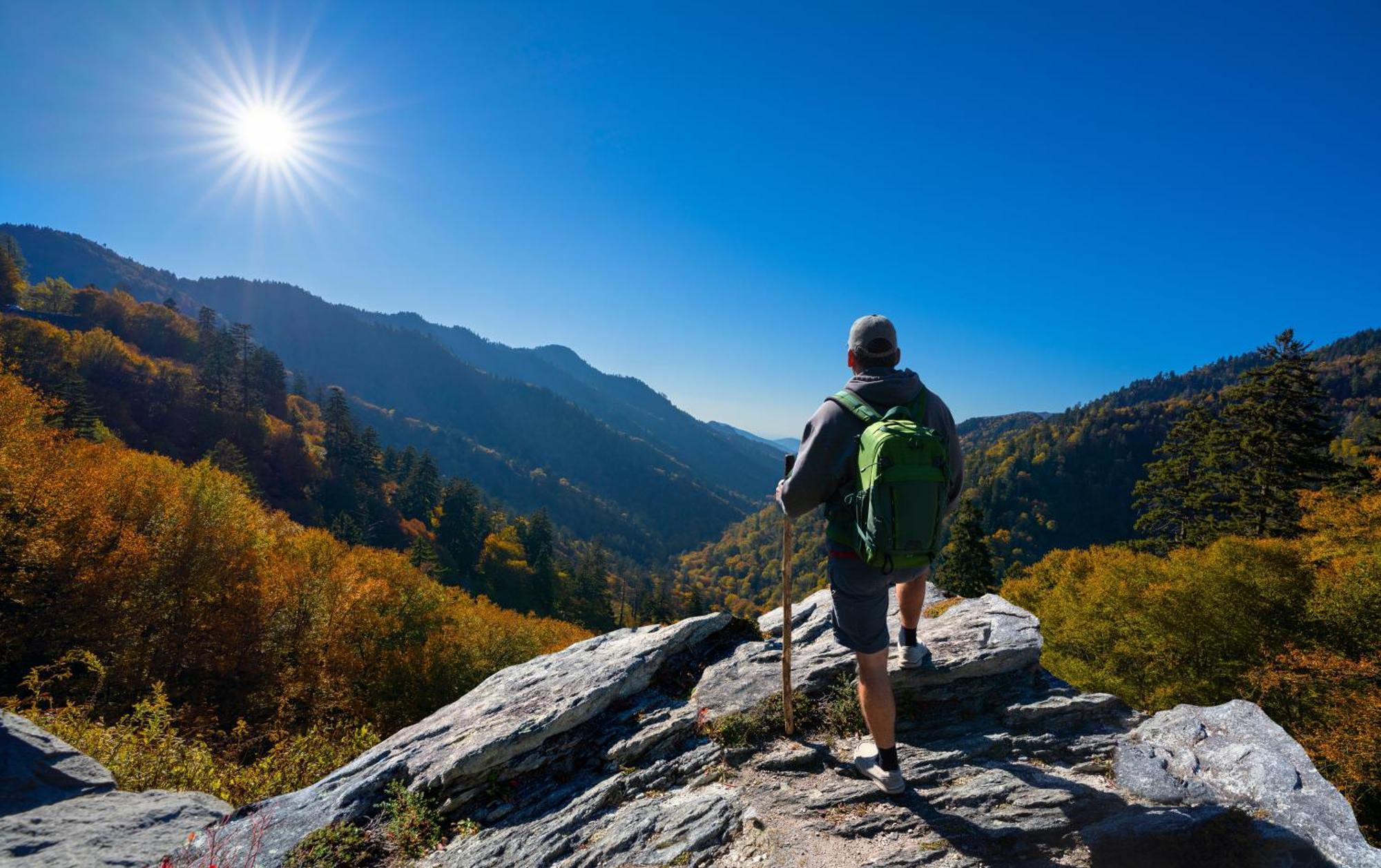 Lazy Bear Lodge, Hot Tub, Resort Pool, Wifi, 1089 Free Tickets Each Paid Day, Dollywood And More Gatlinburg Εξωτερικό φωτογραφία